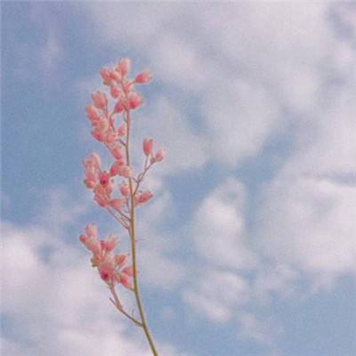 风暴召唤手游(暂未上线)v1.0 安卓版